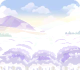 広大なラベンダー畑