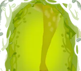 精霊の森