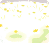 小花の咲く原っぱ