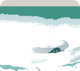 孤島周りの昼の海