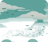 鳥の群れが通る昼の空