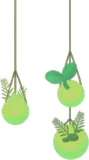 吊るされた原生林の苔たち