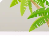 ヤシの木の茂み