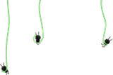 ツルに絡まるクロムシ