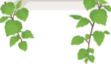 垂れ下がるつる植物