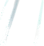 微睡む森の木漏れ日