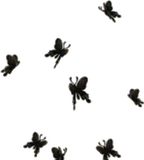 灰雲へ招く黒蝶