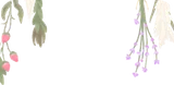 アトリエのドライフラワー