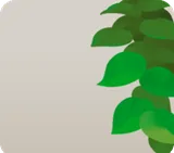 のび放題の緑・右