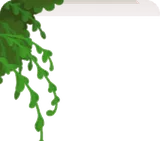 のび放題の緑・左