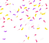 お祝いの紙吹雪