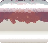 星薔薇の天蓋