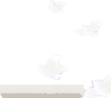 羽ばたく鳥の幻