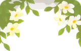 テラスに咲いた白い花