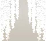花のカーテン・明