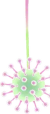 モウセンマリ