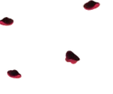 散るバラの花びら