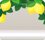 たくさん実ったレモン