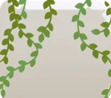 垂れ下がる日除けのつる植物