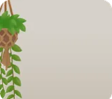 吊りポットの観葉植物