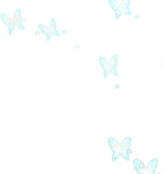 春に飛び立つ蝶