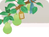 洋梨の枝