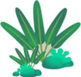 原生林の植物たち