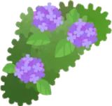 紫の紫陽花