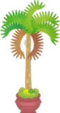 ヤシの木の植木鉢