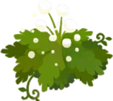 白玉の草