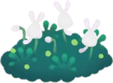 珍しい苔の茂み