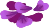 微睡む森の花びら