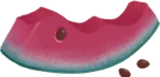 食べられたスイカ