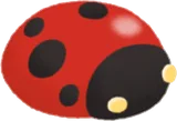 ミニトマトテントウムシ
