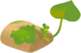 苔むしたコルク