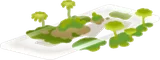 苔むしたスライドガラス