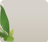 神殿に生い茂る植物