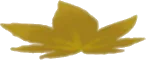緑のもみじの葉