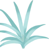 細長い葉の温室の植物・緑