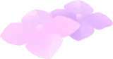 紫陽花の小花