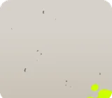 黒い気になるほこり