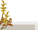 秋の森の小さな植物の枝