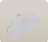 透き通ったシロキクラゲ