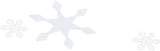 生成された雪の結晶・左