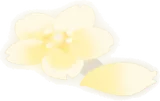舞い落ちた金桜