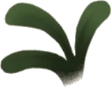 ひっそり生える水草