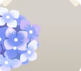雨粒付きの紫色の紫陽花
