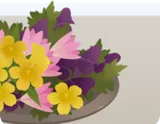 毒草サラダ