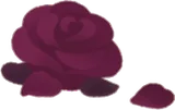 薔薇のドライポプリ