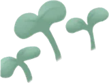 芽吹きの葉・左